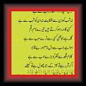 Tere Umeed teraa 01t * 19.03.2012 * 355 x 509 * (53KB)